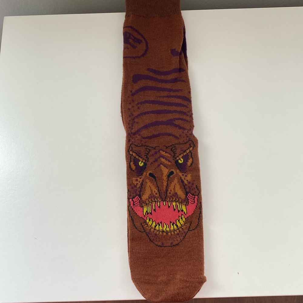 Long Dinosaur Socks